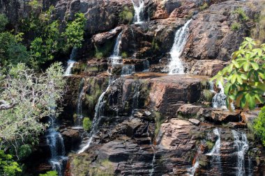 Alto Paraiso şehri yakınlarındaki Chapada Veadeiros 'ta Almecegas I olarak bilinen Şelale. 
