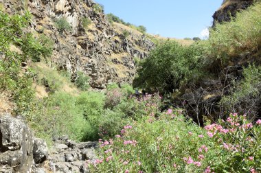 Golan Tepeleri manzara.