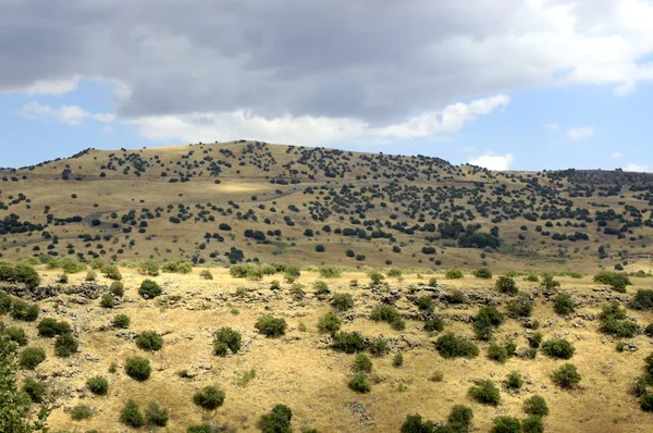 Krajobraz Wzgórza Golan. — Zdjęcie stockowe