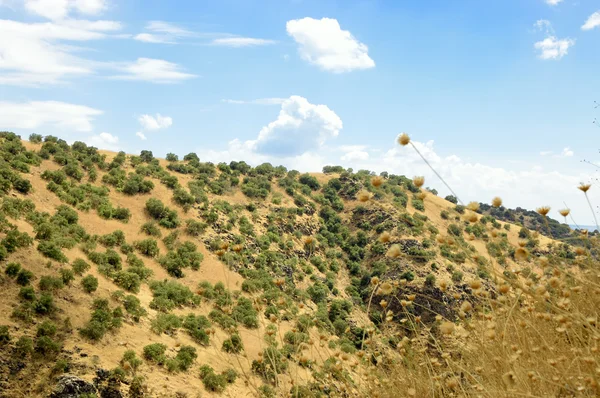 Lanskap Dataran Tinggi Golan . — Stok Foto