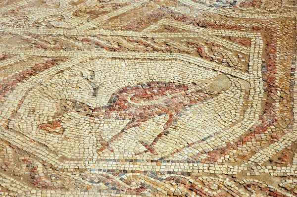 Piso de mosaico na cidade de Nabataean Memphis, Israel — Fotografia de Stock