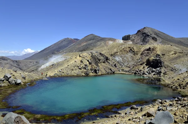 Lac d'émeraude, Nouvelle-Zélande Photos De Stock Libres De Droits