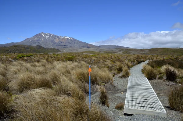 Sentiero del Tongariro in Nuova Zelanda . — Foto Stock