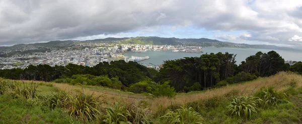 Panoráma města Wellington, nz — Stock fotografie