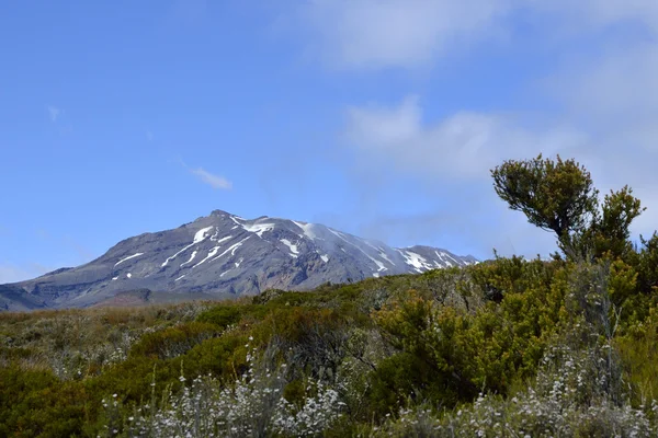 装载 ruapehu 新西兰 — 图库照片