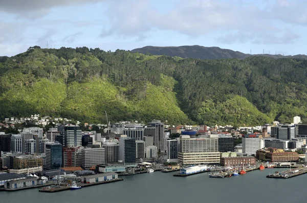 Wellington centro città paesaggio, NZ — Foto Stock