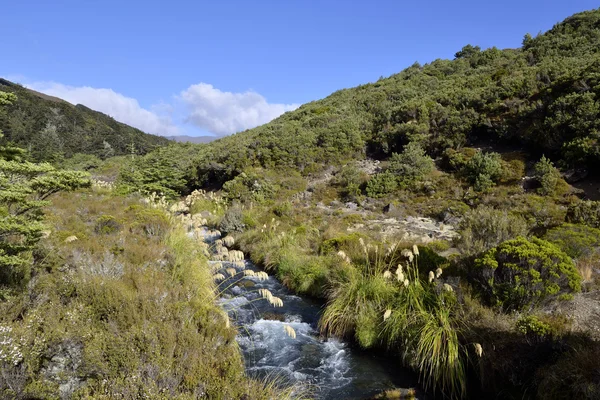 トンガリロ ・ トレック風景、ニュージーランド — ストック写真
