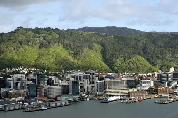 Wellington centra Panorama, nz Stock Obrázky