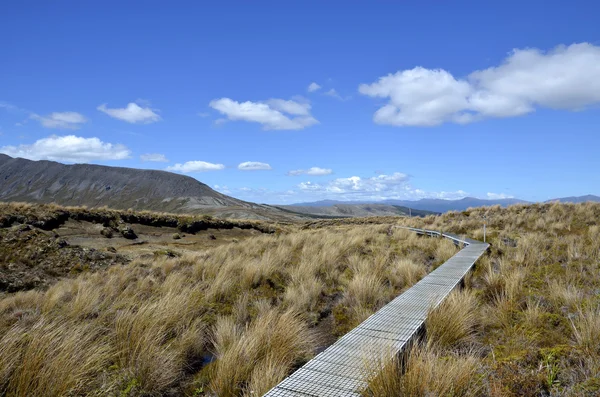 Sendero Tongariro en Nueva Zelanda . — Foto de Stock