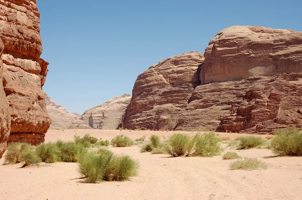 Wadi Rum Landschaft, Jordanien — Stockfoto