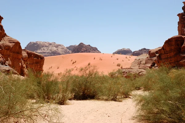 Wadi Rum duinlandschap, Jordan — Stockfoto