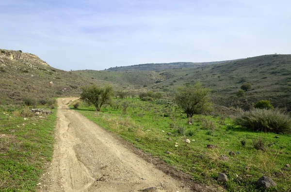 Golanhoogten landschap, Israël. — Stockfoto