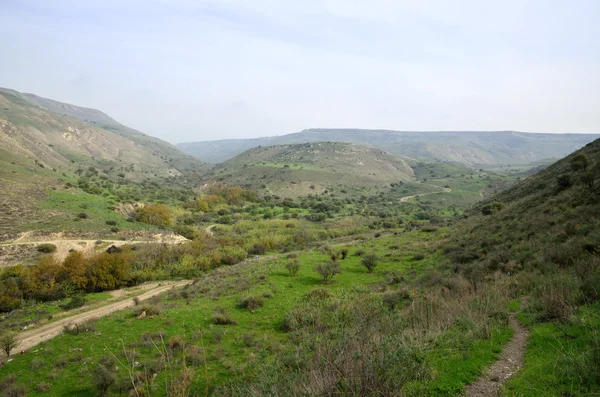 Golan Heights paisagem, Israel . — Fotografia de Stock