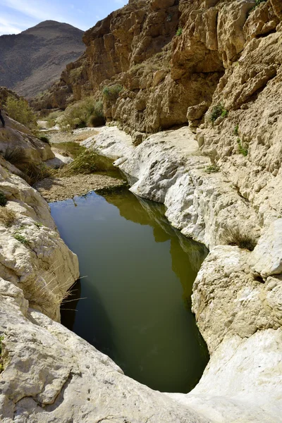 Нахаль-Зафит в пустыне Негев . — стоковое фото