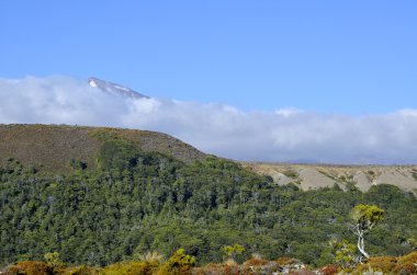Mount Ruapehu manzara, Yeni Zelanda