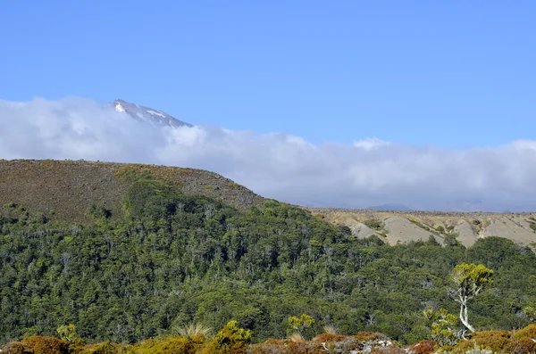 Mount Ruapehu manzara, Yeni Zelanda — Stok fotoğraf