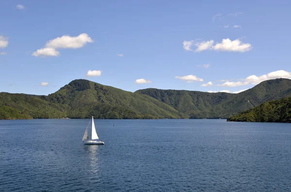 Cook paisagem estreita, NZ — Fotografia de Stock