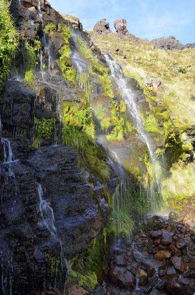 Ketetahi hot springs, Nieuw-Zeeland Stockfoto