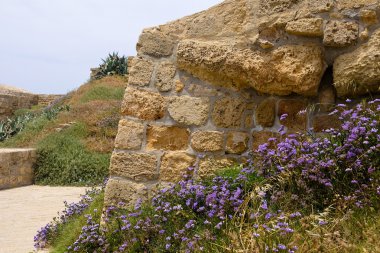 Old ruins of Acre, Israel