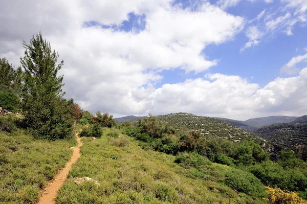 Primavera paisagem montanhosa, Israel Imagens De Bancos De Imagens Sem Royalties