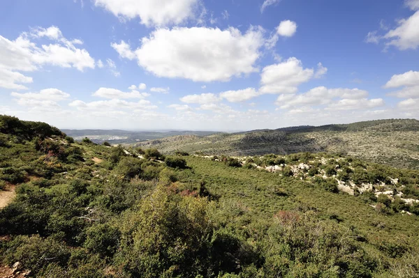 Spring mountain landscape, Israel — Stock Photo, Image