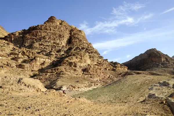 Pustynny krajobraz górski, Jordan — Zdjęcie stockowe