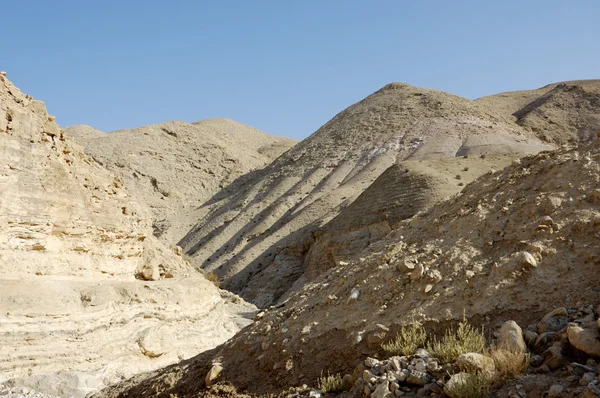 Judeen öken bergslandskap, Israel — Stockfoto