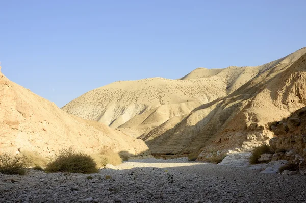 Judea desert mountain landscape, Israel — Stock Photo, Image