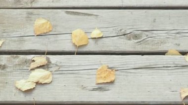 Ahşap bir köprünün altında kuru sarı ve turuncu yapraklar. Sonbahar yaprakları yerde. Kuru çöl toprağı. Üst görünüm ve yakın plan