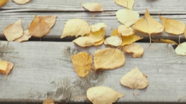Suche żółto-pomarańczowe liście na drewnianym moście pod stopami. Jesienne liście na ziemi. Sucha pustynia. Widok z góry i zbliżenie — Wideo stockowe