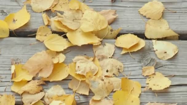 Сухие желтые и оранжевые листья на деревянном мосту под ногами. Осенние листья на земле. Сухая пустыня. Вид сверху и крупный план — стоковое видео