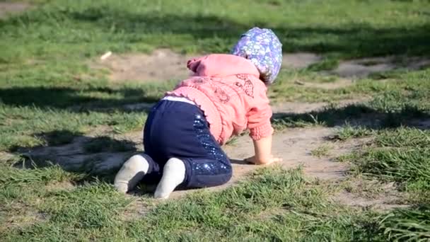 Lächelnd steht das süße verspielte kleine Mädchen auf grünem Gras. Kleinkind wandert um den See und lernt laufen. sonniger Spätsommertag oder Sommertag — Stockvideo