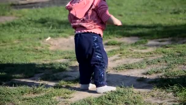 Leende söt lekfull liten flicka står på grönt gräs. Flicka småbarn promenader runt sjön lär sig att gå. solig speing eller sommardag — Stockvideo