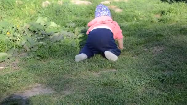 Sonriendo linda niña juguetona está de pie sobre hierba verde. niña pequeño camina alrededor del lago aprende a caminar. soleado sping o día de verano — Vídeos de Stock