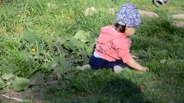 Leende söt lekfull liten flicka står på grönt gräs. Flicka småbarn promenader runt sjön lär sig att gå. solig speing eller sommardag — Stockvideo