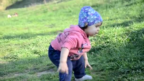 Smiling cute playful little girl is standing on green grass. girl toddler walks around the lake learns to walk. sunny sping or summer day — Stock Video