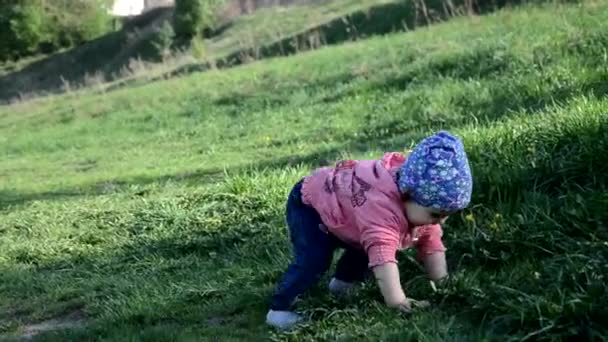 Leende söt lekfull liten flicka står på grönt gräs. Flicka småbarn promenader runt sjön lär sig att gå. solig speing eller sommardag — Stockvideo