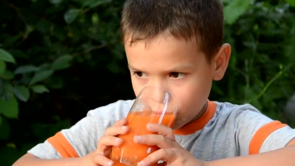 Yang μικρό και χαριτωμένο αγόρι με ένα ποτήρι χυμό. αγόρι πίνει φρέσκο υγιεινό χυμό πορτοκάλι βερίκοκο, καρότο ή ροδάκινο σε φόντο πράσινο φύλλωμα — Αρχείο Βίντεο