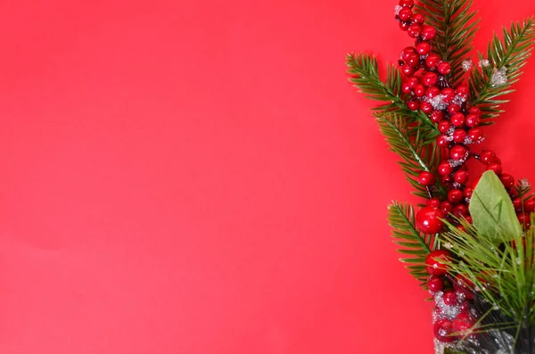 Weihnachtsbaumschmuck Christbaumzweig, rote Beeren, Draufsicht, Kopierraum, Neujahr oder Weihnachtsfeiertage — Stockfoto