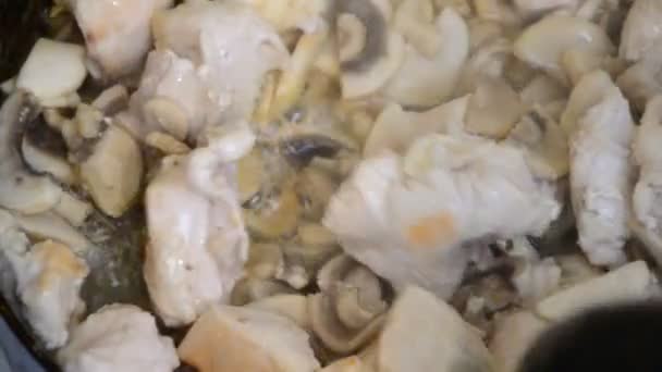 La ragazza cucina Petto di pollo con funghi in salsa alla panna su una padella sul tavolo. vista dall'alto. — Video Stock