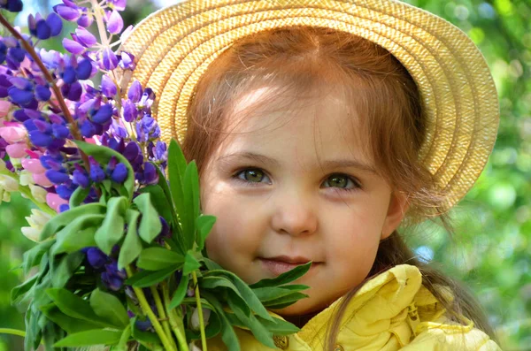 Girl with colored bouquets of lupines, sniffing flowers, brooding concept of spring or summer holidays, mothers day, easter Girl with bouquet of flowers in her hands Flowers, Spring, Romance, March 8 — Stock Photo, Image