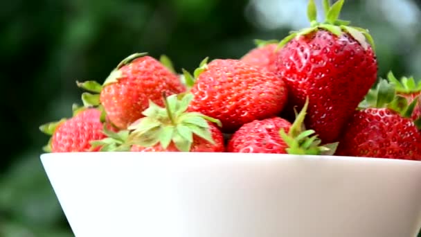 Laver les fraises rouges fraîches et mûres sous l'eau courante. Les fraises flottent dans l'eau avec des bulles. Les fruits juteux doivent être soigneusement lavés et consommés propres. — Video