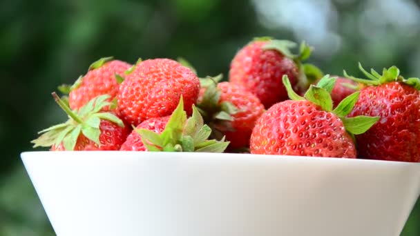 Frische Erdbeeren in Schüssel natürlichen Hintergrund — Stockvideo