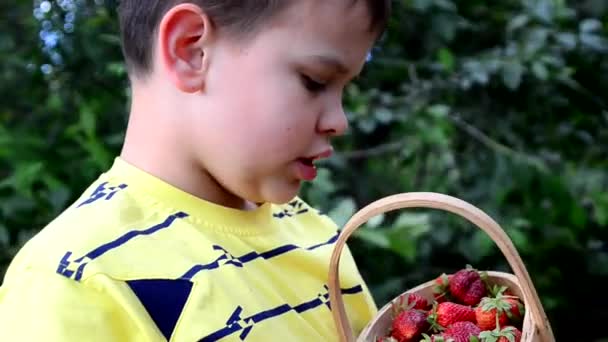 男の子はバスケットからイチゴを食べる。夏にイチゴ農場で遊んでいる弟の子供たち。健康な有機食品、新鮮な果実を食べる子供たち. — ストック動画