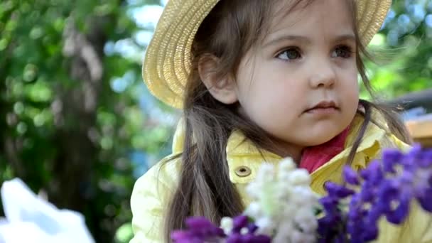 Girl with colored bouquets of lupines, sniffing flowers, brooding concept of spring or summer holidays, mothers day, easter Girl with bouquet of flowers in her hands Flowers, Spring, Romance, March 8 — Stock Video