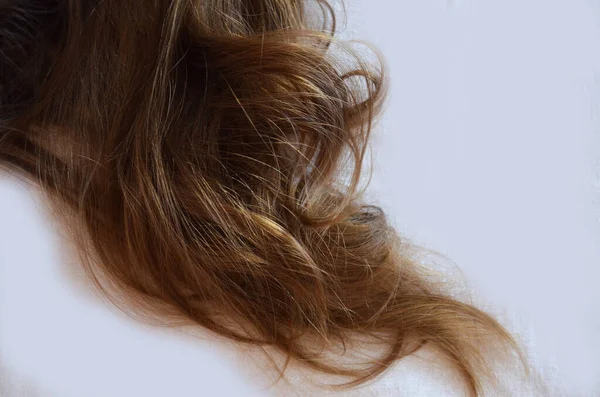 Кусочек каштановых волос на белом изолированном фоне здоровый и блестящий — стоковое фото