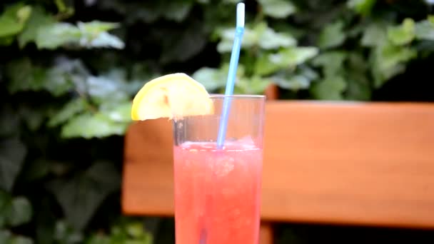 Kleurrijke tropische zoetwatermeloen smoothie zomer drankjes in de glazen op houten tafel achtergrond. Verfrissende watermeloen coteil met slijm tegen de achtergrond van groen gebladerte. Het begrip — Stockvideo