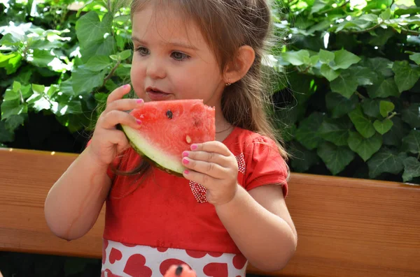Retrato engraçado de uma menina incrivelmente bonita comendo melancia, lanche de frutas saudáveis, criança adorável com cabelo encaracolado. — Fotografia de Stock