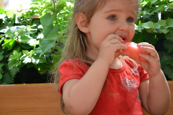 Funny portrait of an incredibly beautiful little girl eating watermelon, healthy fruit snack, adorable toddler child with curly hair. — Stock Photo, Image