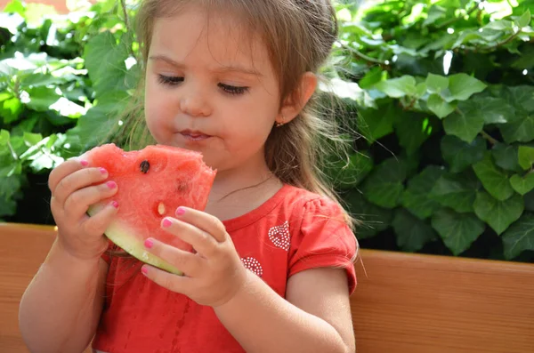 Potret lucu dari seorang gadis kecil yang sangat cantik makan semangka, camilan buah yang sehat, anak balita menggemaskan dengan rambut keriting. Stok Gambar